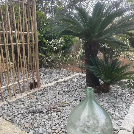 Grange Agricole Rehabilitee * Antisanti